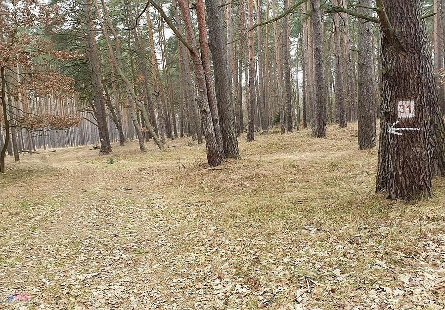 Dojazd pożarowy 30