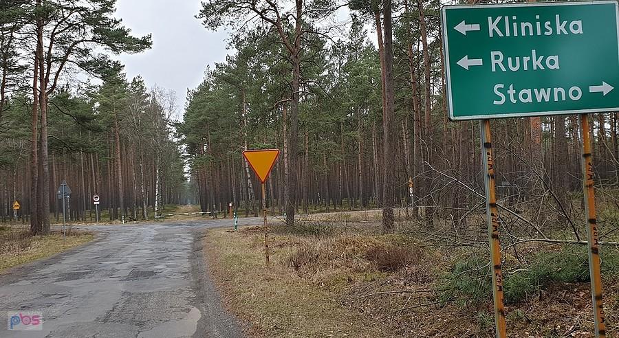 Lesna krzyżówka