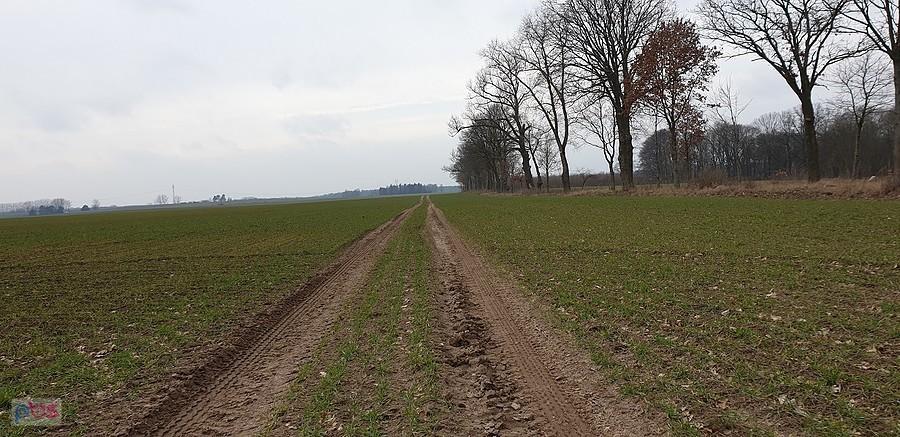 Polna droga za Warchlinkiem