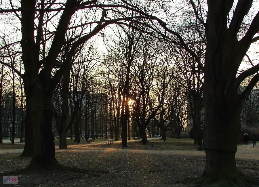 Ogród Saski