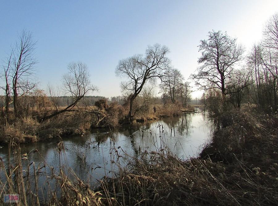 Rzeka Jeziorka