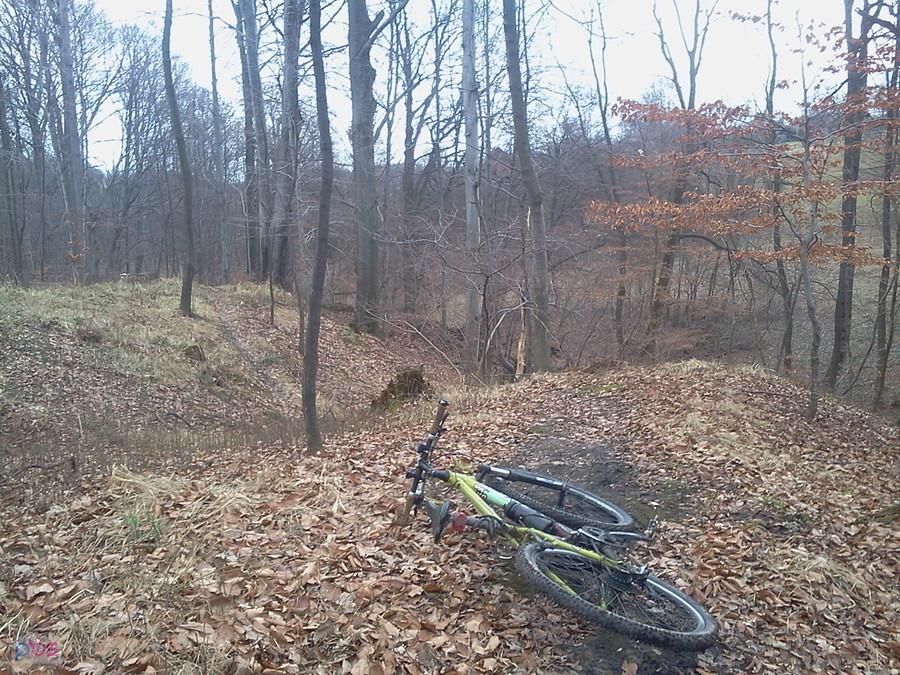Trasa w Marklowickim Lasku
