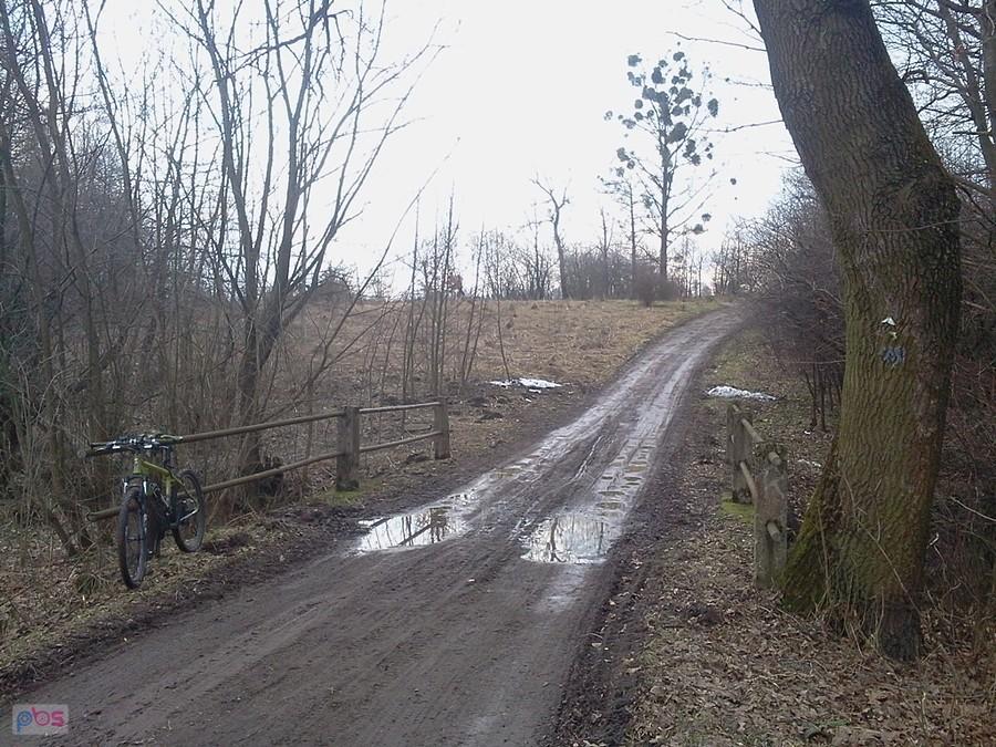 Gułdowy