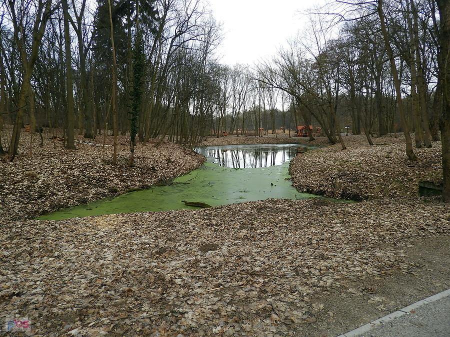 Las Arkoński i Syrenie Stawy w lutowy poranek.
