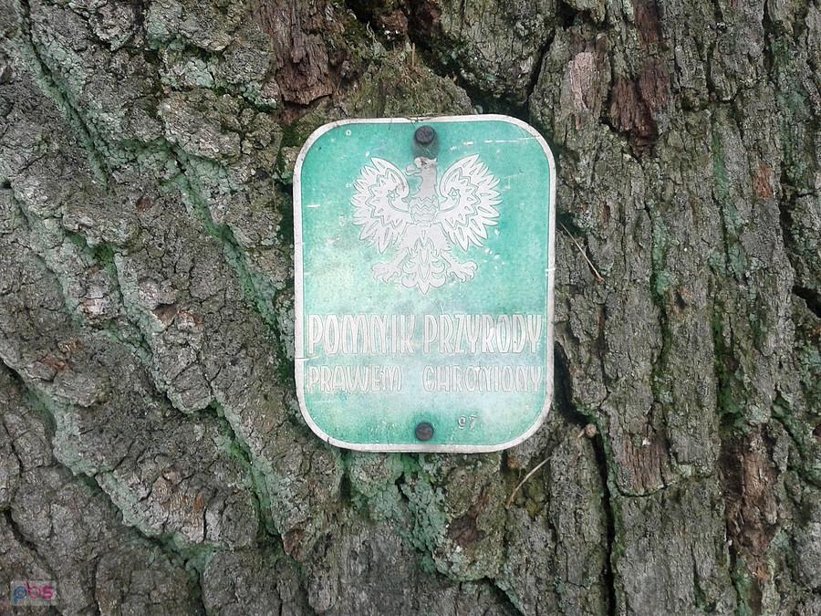 Tabliczka, jeszcze bez korony