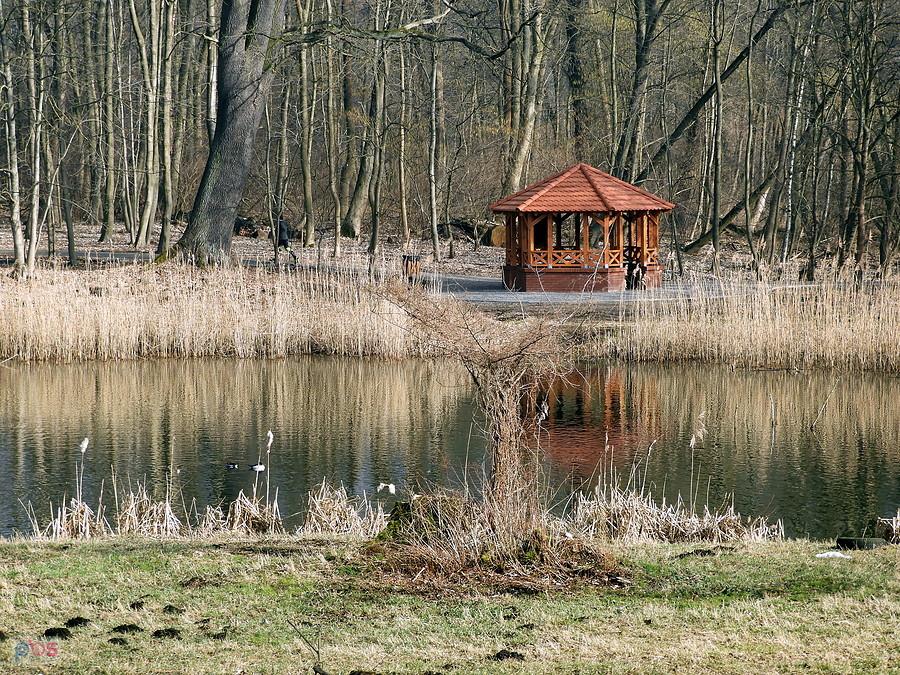 Fragment Syrenich Stawów - warto odbyć spacer po alejkach tego obiektu.