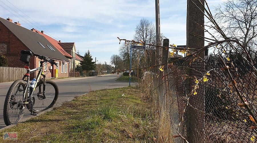 Forsyca w Kobylance ,ta sama co w styczniu.