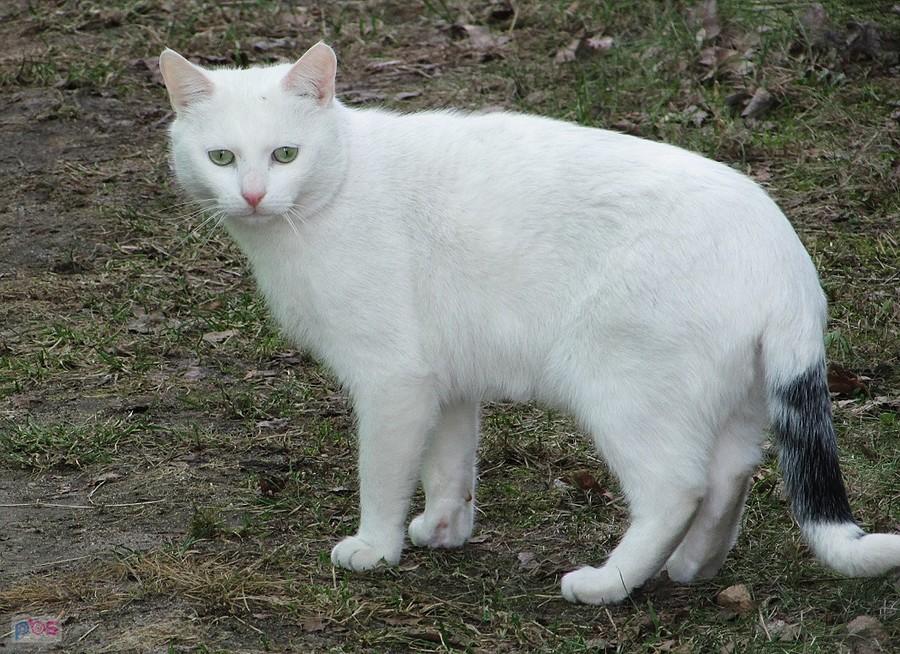 Znaleźlismy się na kursie kolizyjnym