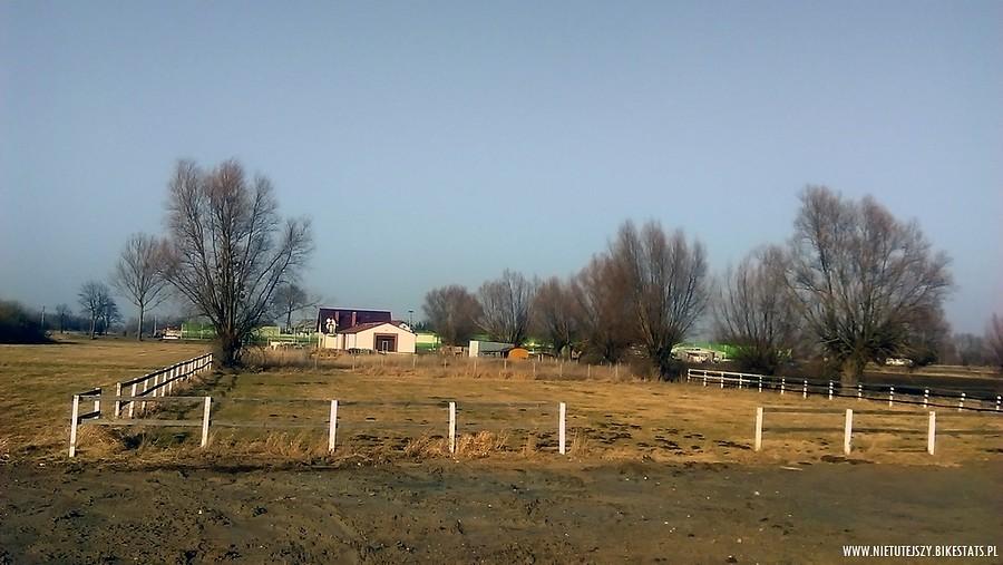 Bez tytułu