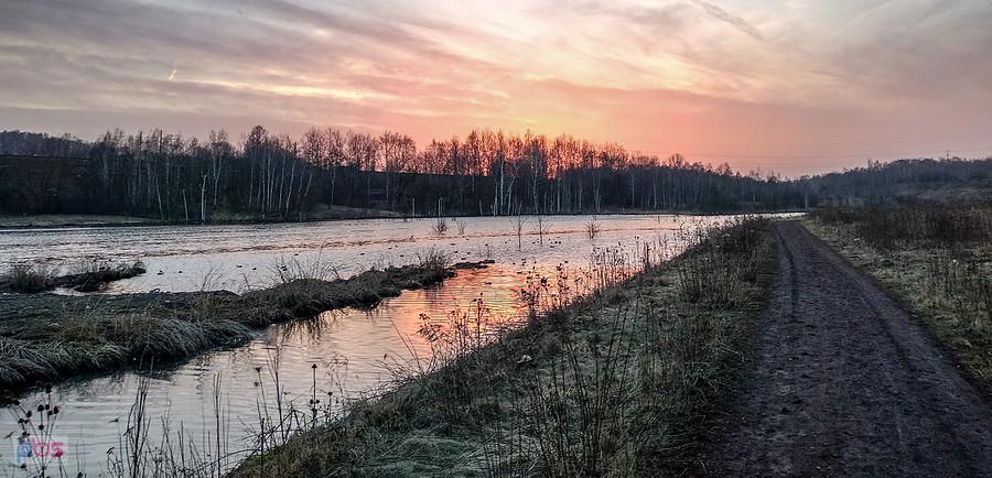 Wygląda pięknie w promieniach zachodzącego słońca