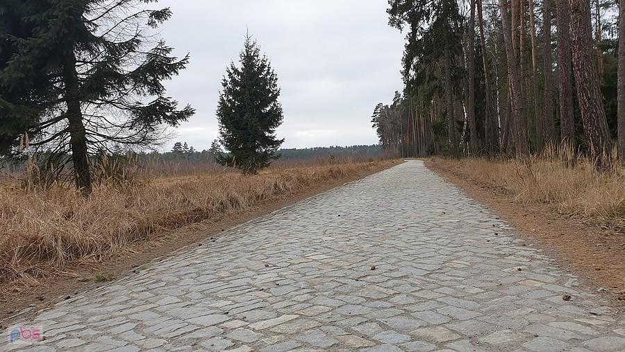 Dojazd pożarowy 40 w okolicu torfowisk.