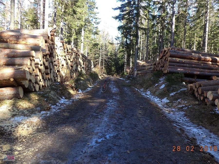 Srogie wyciny na podjeździe na Przeł. Karkonoska - tutaj był ładny, równy asfalt...
