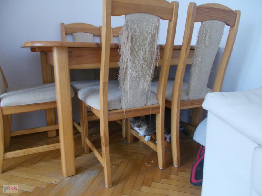 Luśka czai się do ataku na Dareckiego