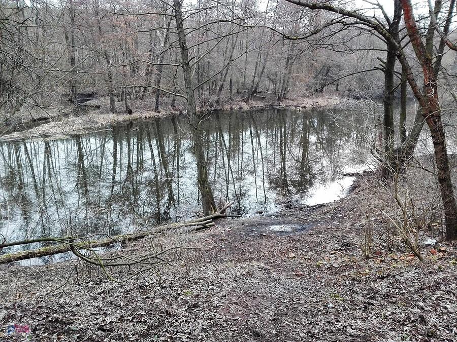 Staw po starej cegielni w Poznaniu