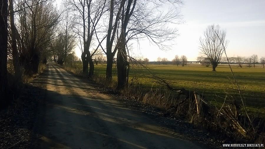 Żuławski krajobraz
