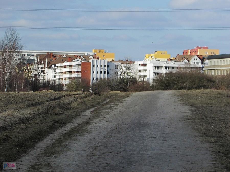 Widok z Lasu Kabackiego na Ursynów