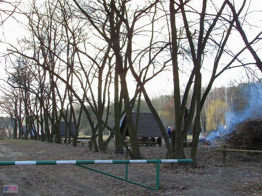 Las Kabacki przy wielkiej polanie