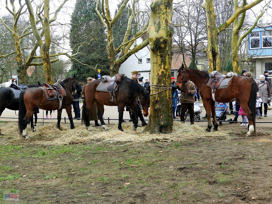 Impreza na Jasnych Błoniach miała charakter historyczny, stąd koniki.