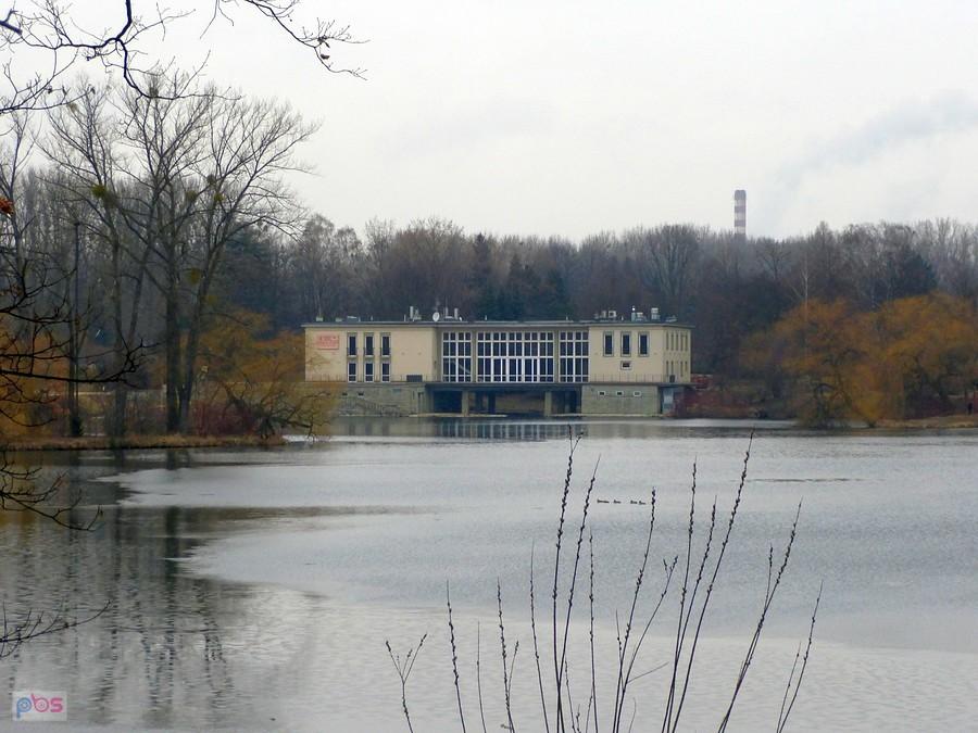 W Parku Śląskim
