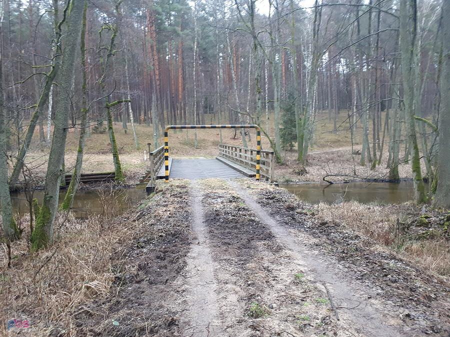 Drawieński Parka narodowy Sówka