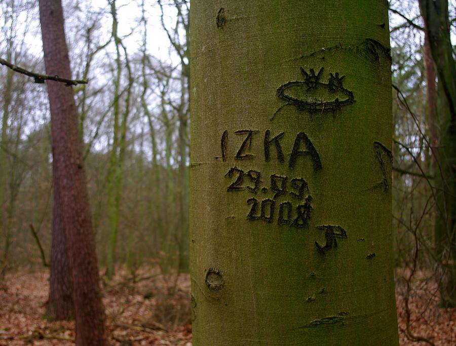 Mózg Izka też pewnie ma jak u żaby - WPN