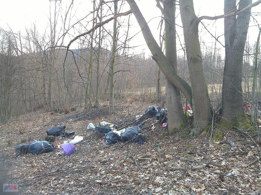 Pogańska Dolina zaśmiecona jak diabli :/
