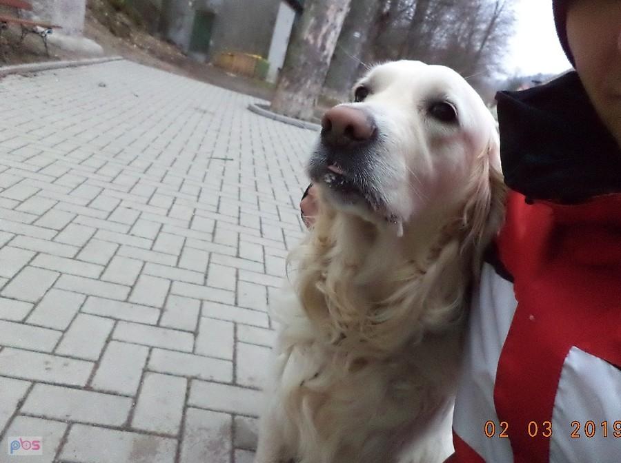 Pieszczoch w Staniszowie :)