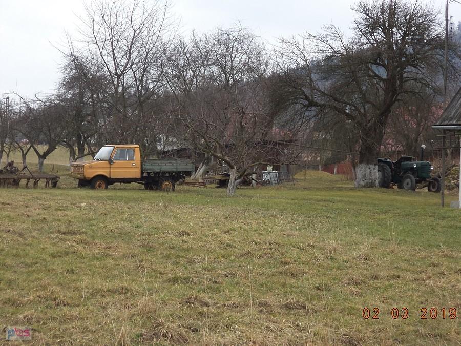 Stary Tarpan i ciapek w Sosnówce