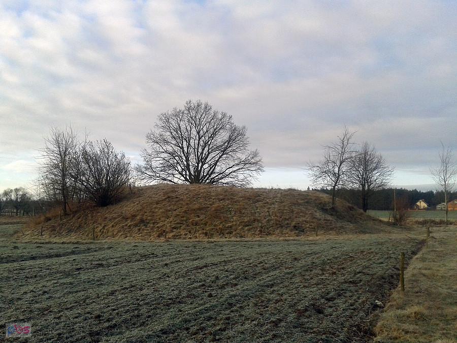 Grodzisko w Trzymsze