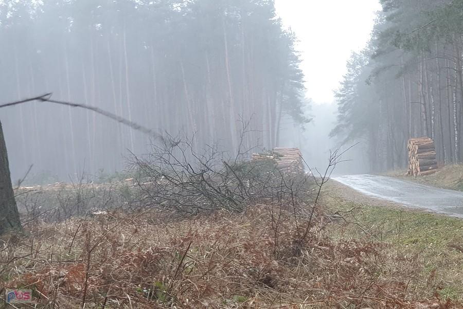 Końcówka pierwszego opadu