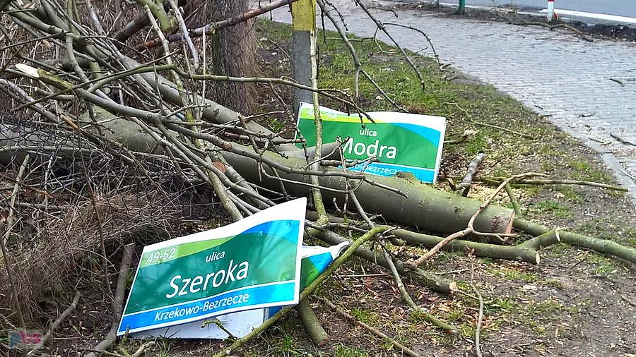 Pod Bezrzeczem - skutki wczorajszej wichury.