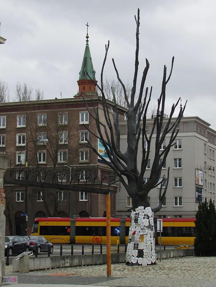 Drzewo z Pawiaka