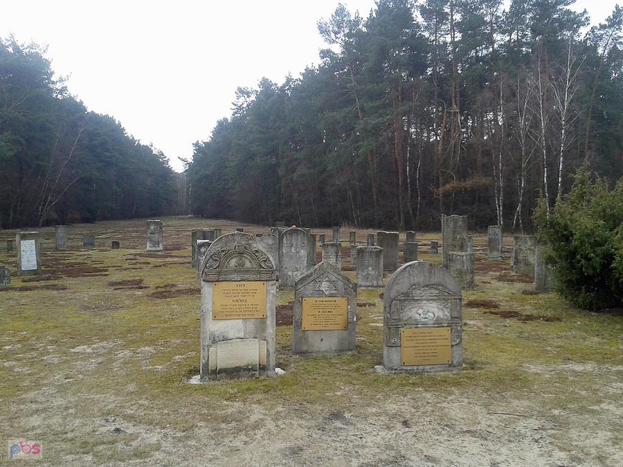 Lapidarium Macew