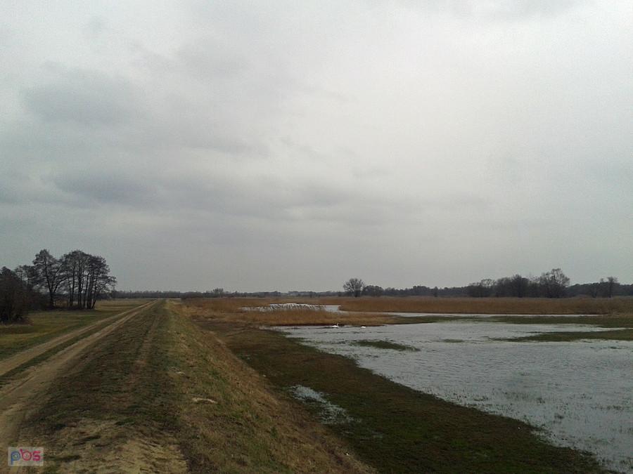 Wzdłuż wału
