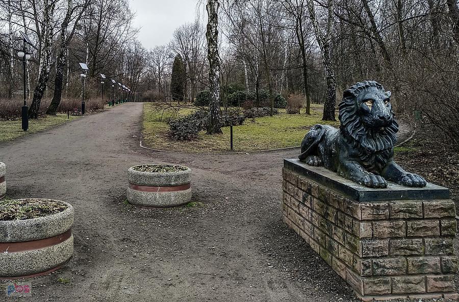 Park im. Rotmistrza Witolda Pileckiego w Zabrzu