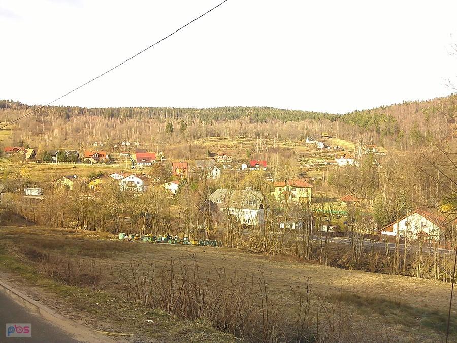 Wiodk na Górzyniec