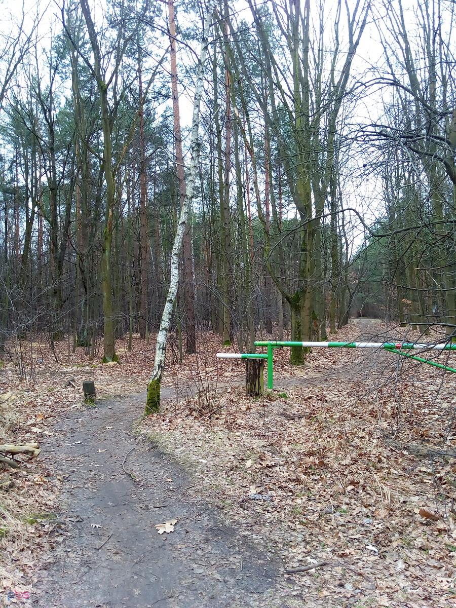 Przejazd możliwy tylko dla rowerów