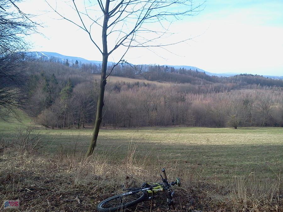 Widok od kamienia (sztolnia była w tym lasku)