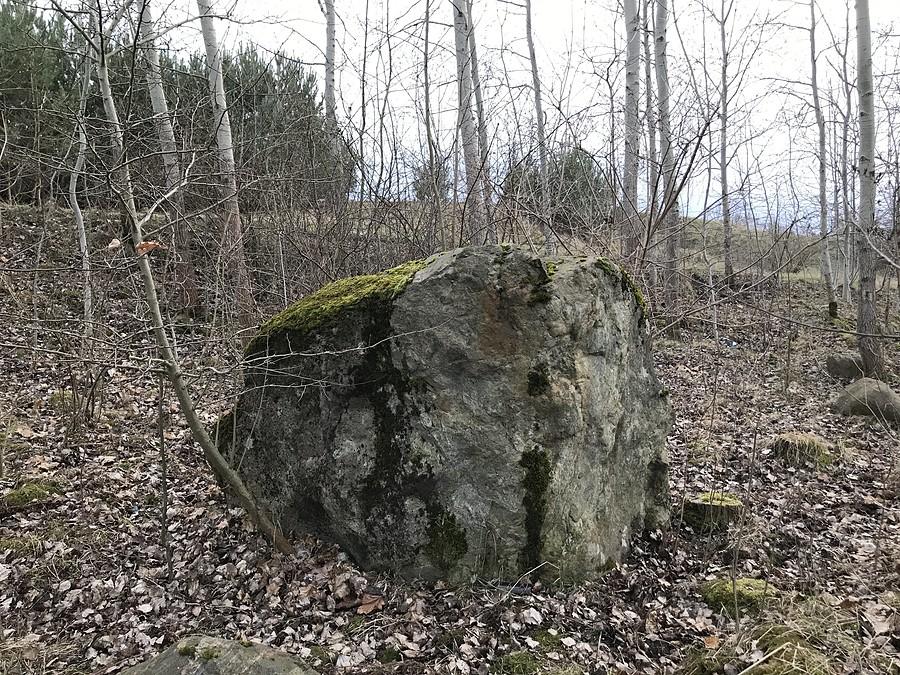 drugi egzemplarz