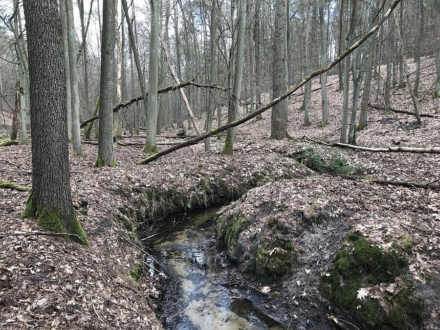 Uroczysko w okolicy Teresina