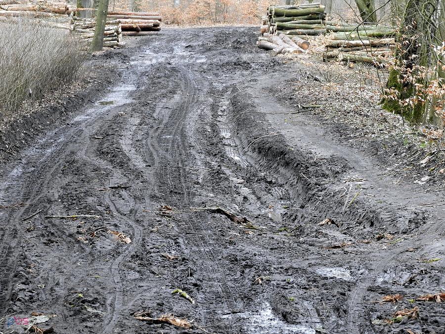 błotnista droga do Dębów Bogusława.