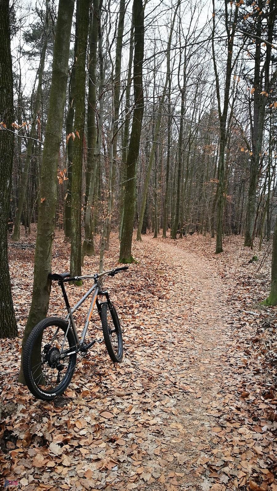 45650b w Łagiewnikach