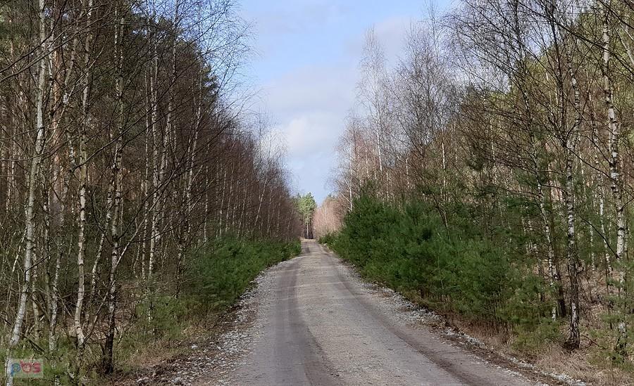 Dojaz pożarowy 39 - kierunek do DW 142
