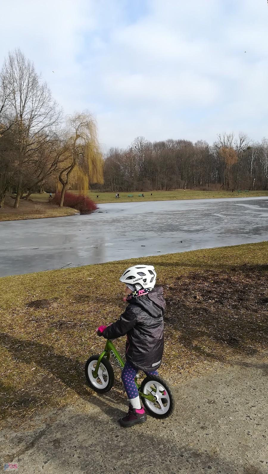 Bejbor w parku