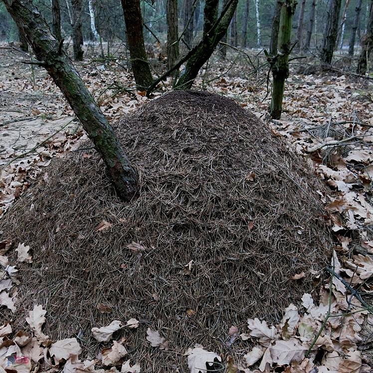 Niepozorna górka ;)