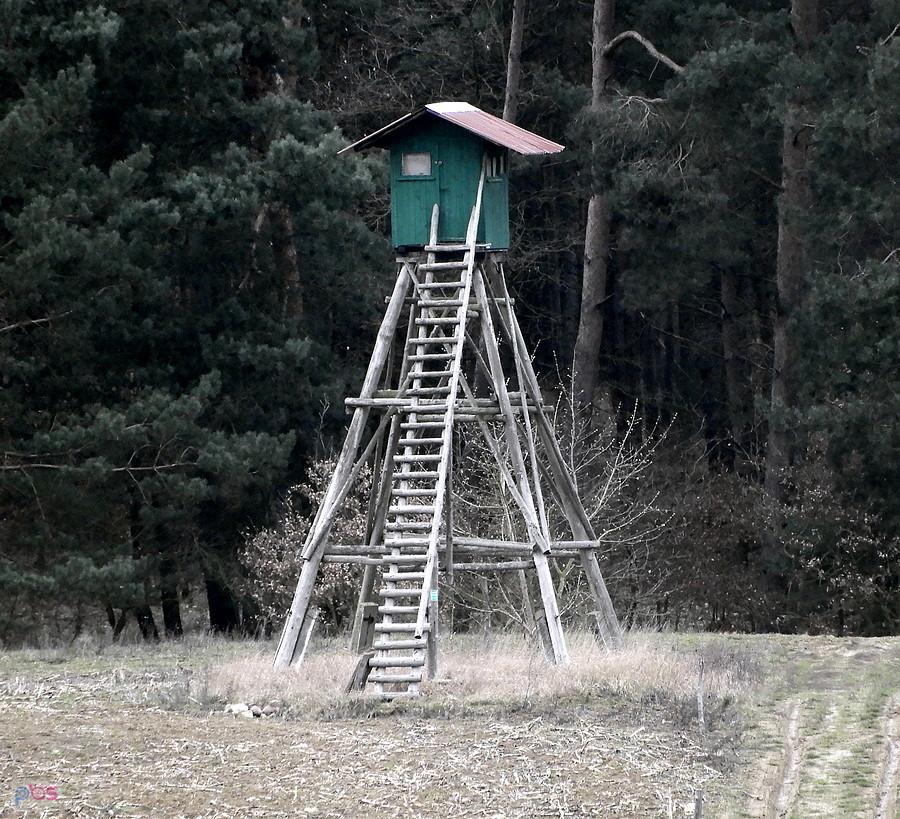 Myśliwska budka pod lasem - okolice Blankensee.