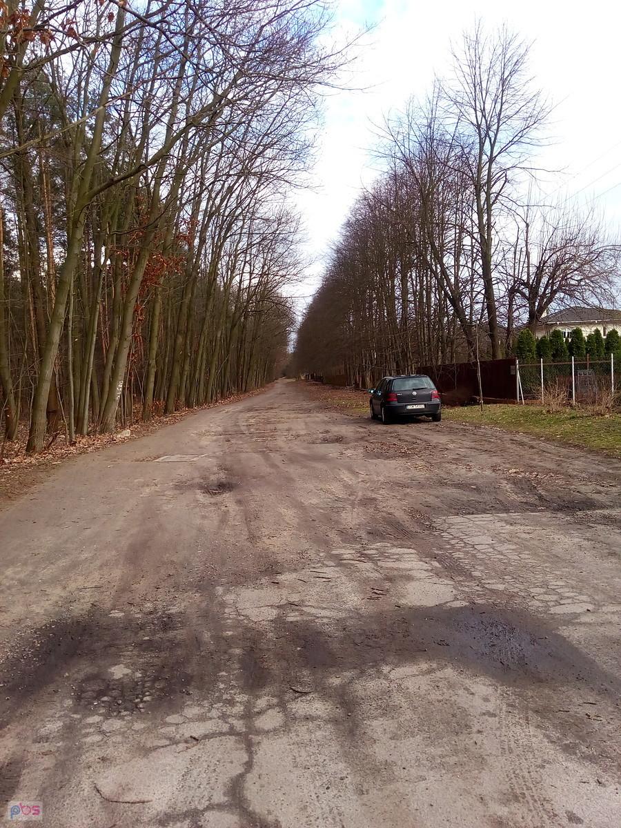Szutrówka wzdłuż lasu
