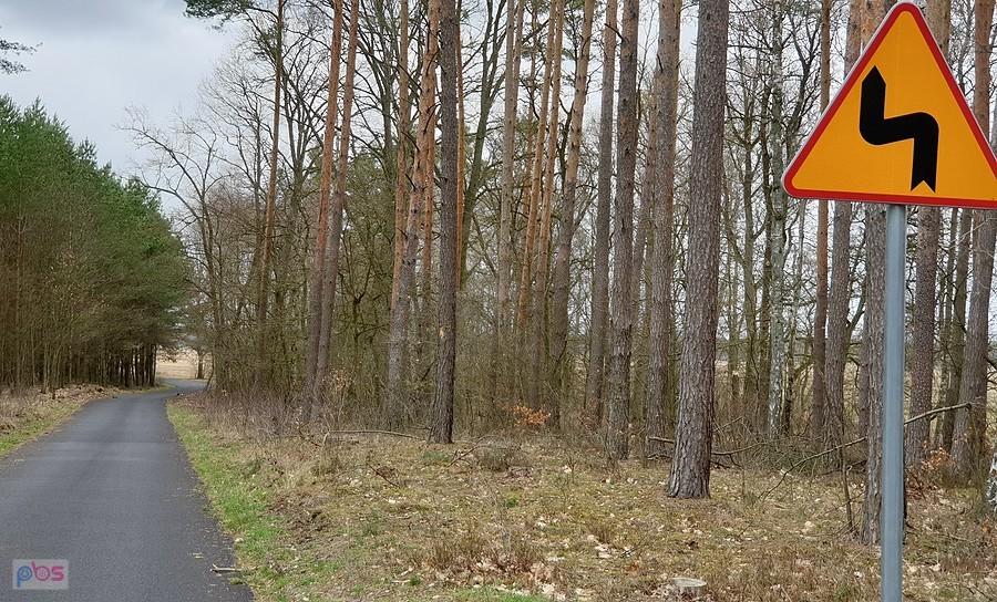 Droga z Cisewa do Wielichówka