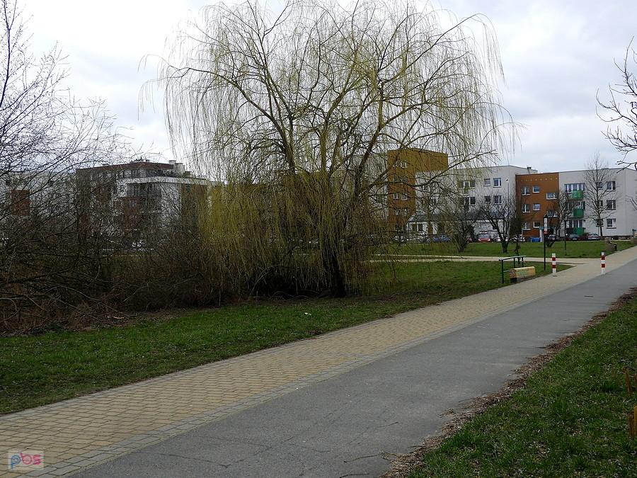 Gumieńce nad jeziorem Słonecznym.