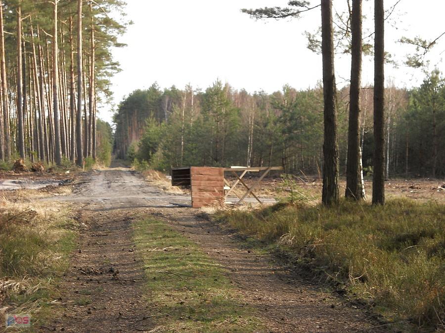 huragan? nie, to rurociąg go obalił